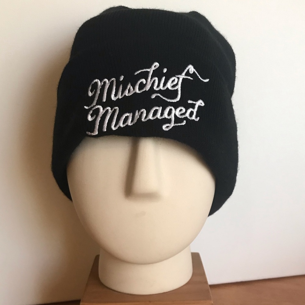 NWOT Beanie hat by Harry Potter™